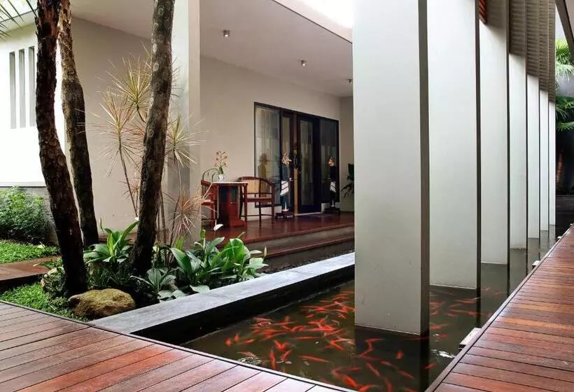 Fotos del hotel Cozy Boutique Guest House:  8