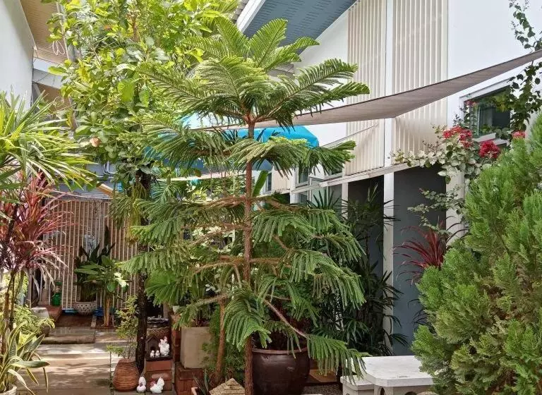 Fotos del hotel Daddy S Home Huahin:  20