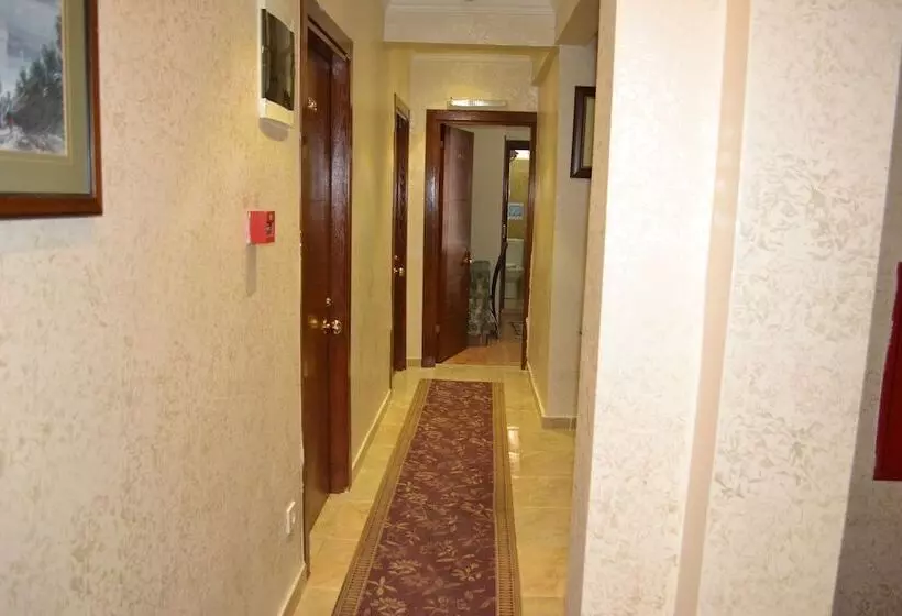 Fotos del hotel New Fatih:  13