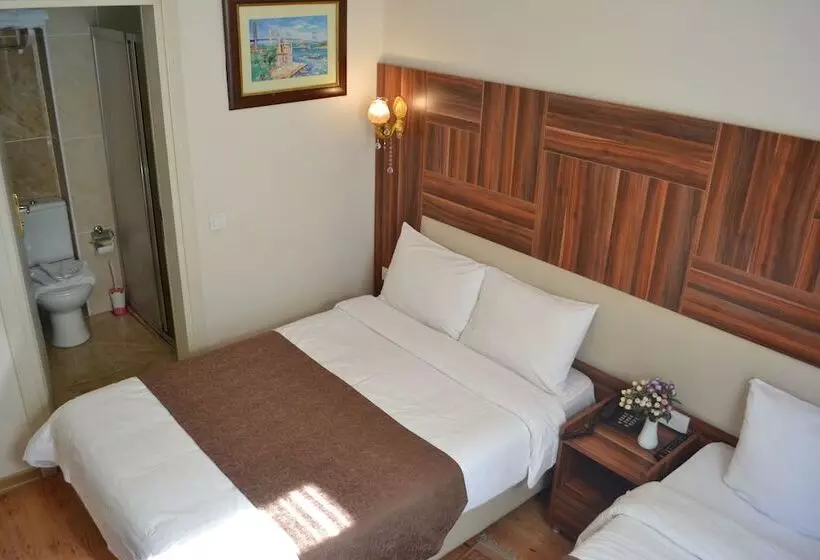 Fotos del hotel New Fatih:  12