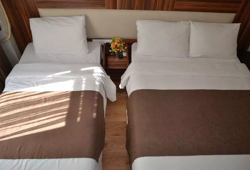 Fotos del hotel New Fatih:  19