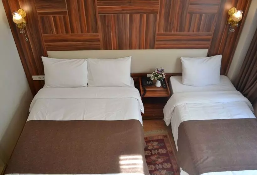 Fotos del hotel New Fatih:  21