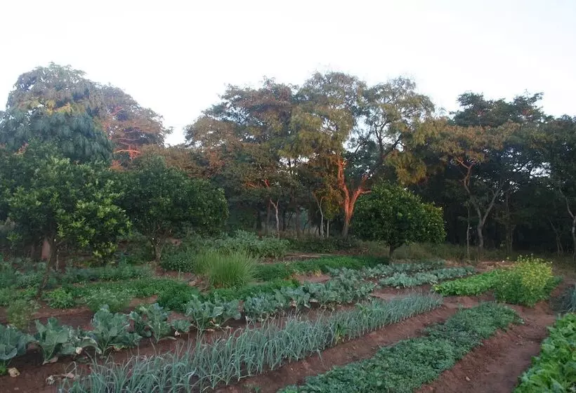 Fotos del hotel Kumbali Country Lodge:  12