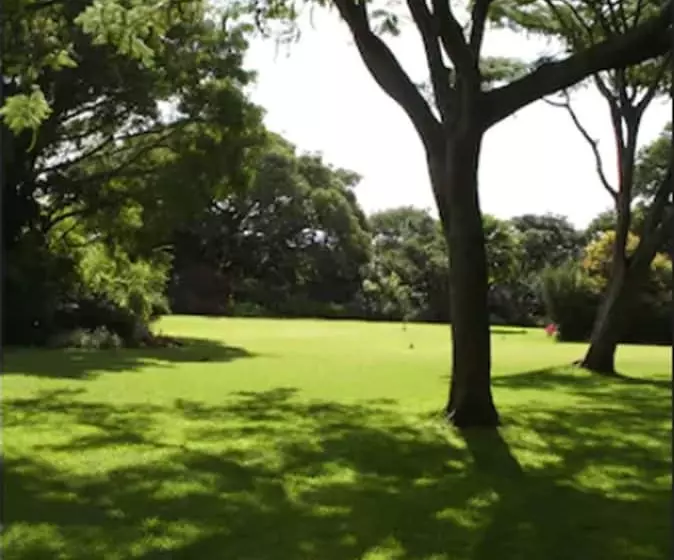 Fotos del hotel Kumbali Country Lodge:  10