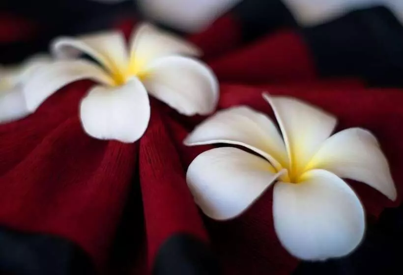 Fotos del hotel P10 Samui:  5