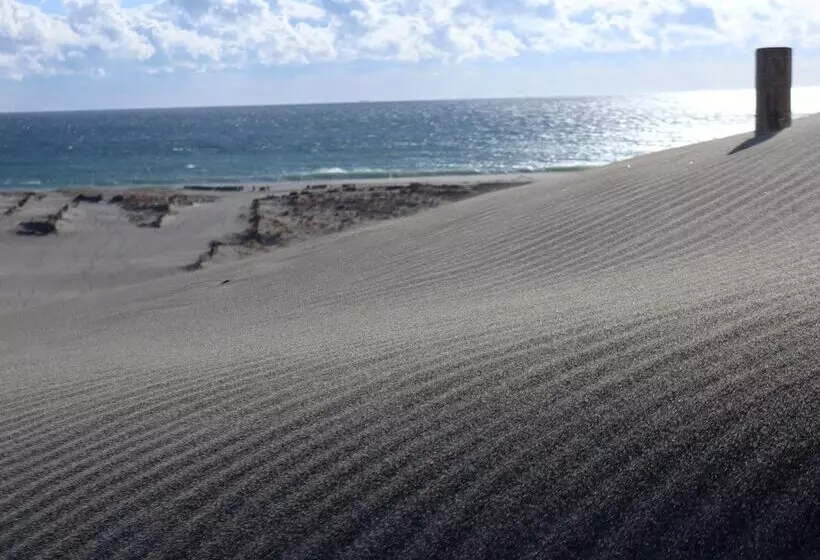 Fotos del hotel Hamamatsu Station:  15