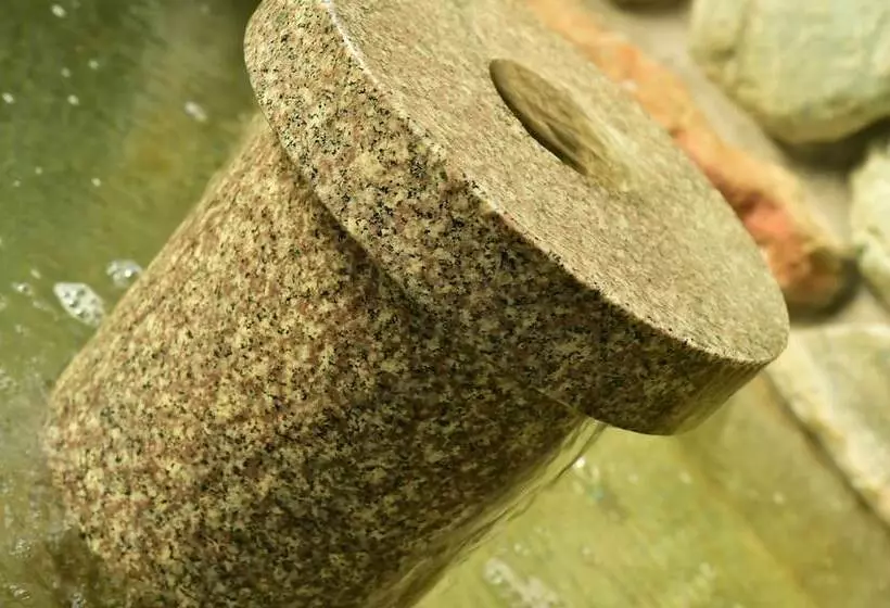 Fotos del hotel Hakuba Royal:  6