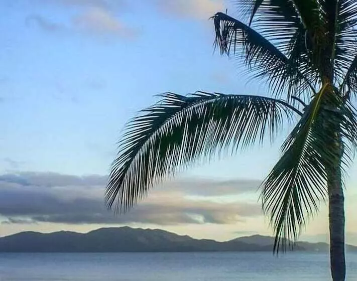 Fotos del hotel Shoredrive Motel:  7