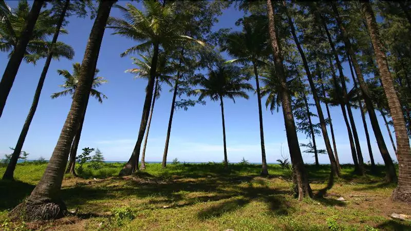 Fotos del hotel Khaolak Blue Lagoon Resort:  11