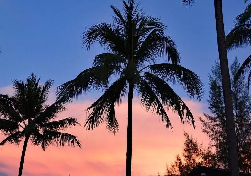 Fotos del hotel Khaolak Blue Lagoon Resort:  17