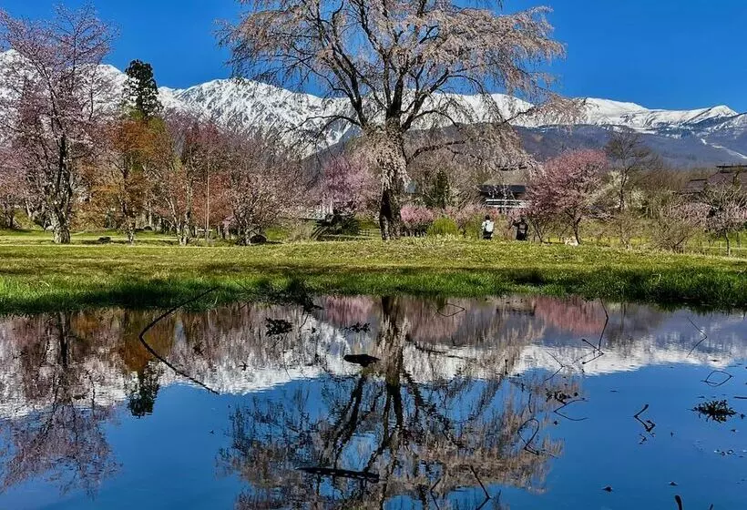 Fotos del hotel Sejour Mint:  12