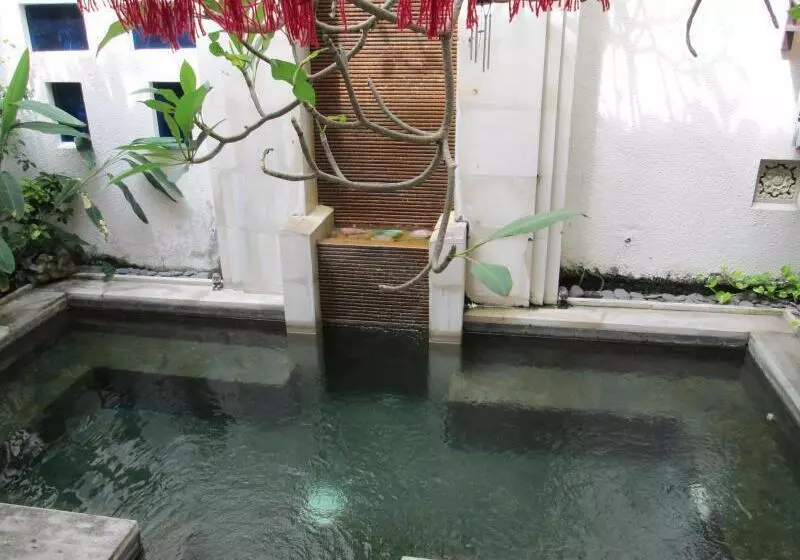 Fotos del hotel Alisha:  4