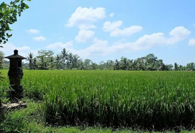 Fotos del hotel Villa Santun:  6