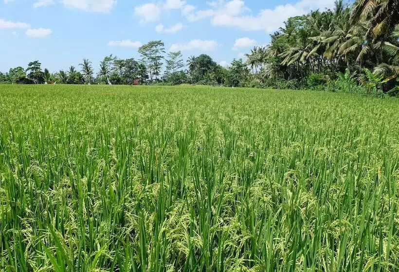 Fotos del hotel Villa Santun:  11