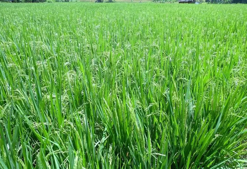 Fotos del hotel Villa Santun:  23