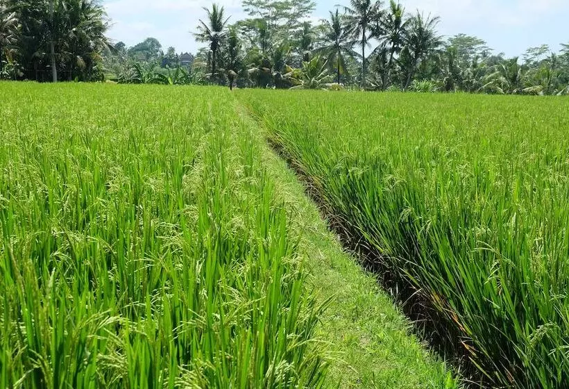 Fotos del hotel Villa Santun:  14