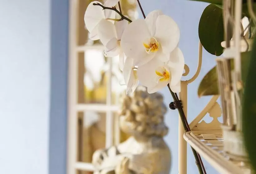 Fotos del hotel The Angels Place Boutique Guest House:  11