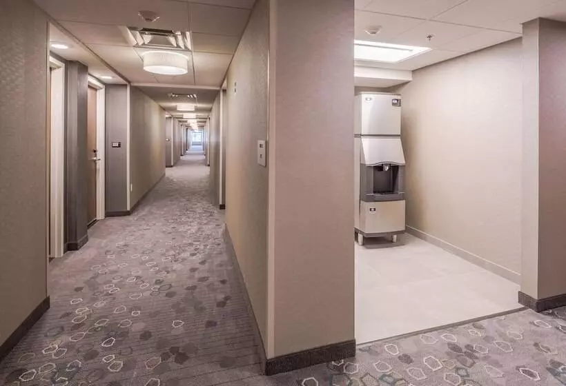 Fotos del hotel Courtyard By Marriott Chihuahua:  8
