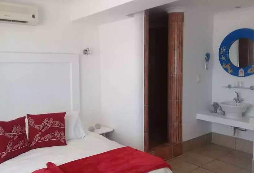Fotos del hotel Knysna Terrace Guesthouse:  6
