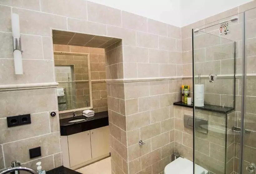 Fotos del hotel Helvetia Suites:  21