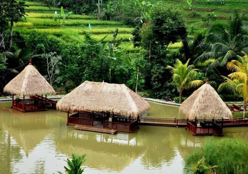Fotos del hotel The Jhon's Cianjur Aquatic Resort:  5