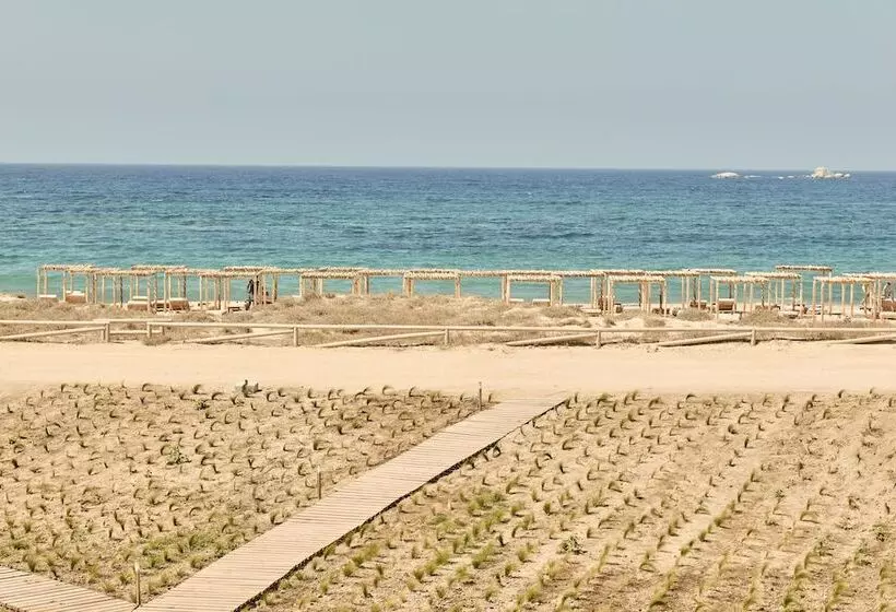 Fotos del hotel Naxian On The Beach:  7