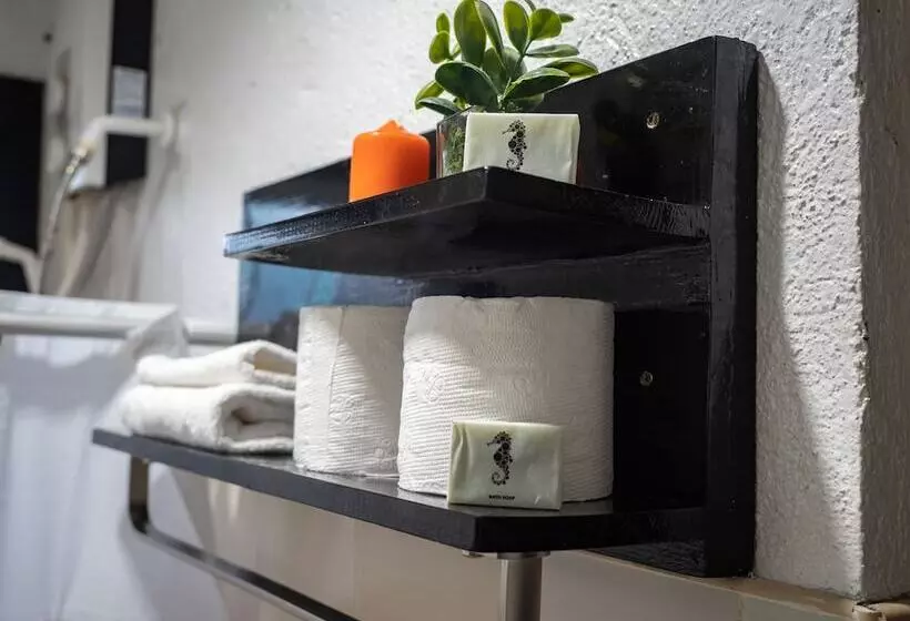 Fotos del hotel Hippocampus:  18
