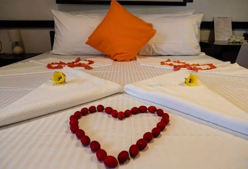 Fotos del hotel Hippocampus:  23