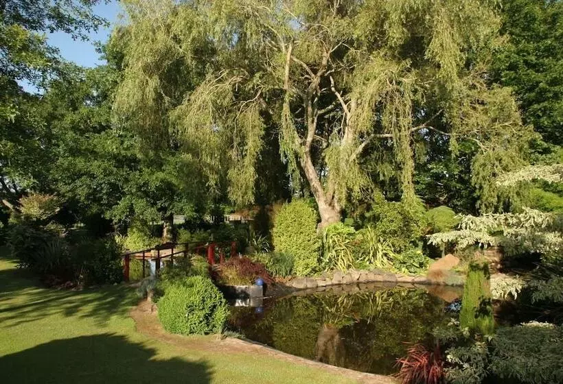 Fotos del hotel Somersal Bed & Breakfast:  13