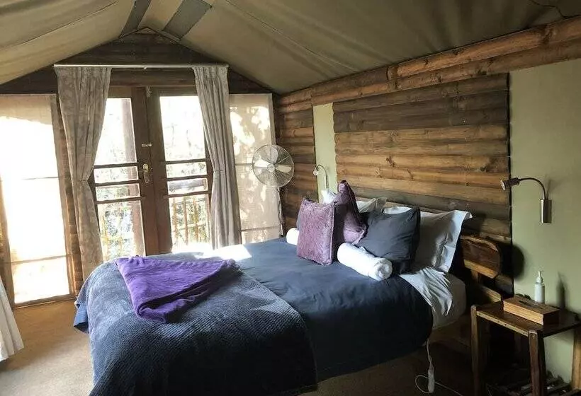 Fotos del hotel Teniqua Treetops:  12
