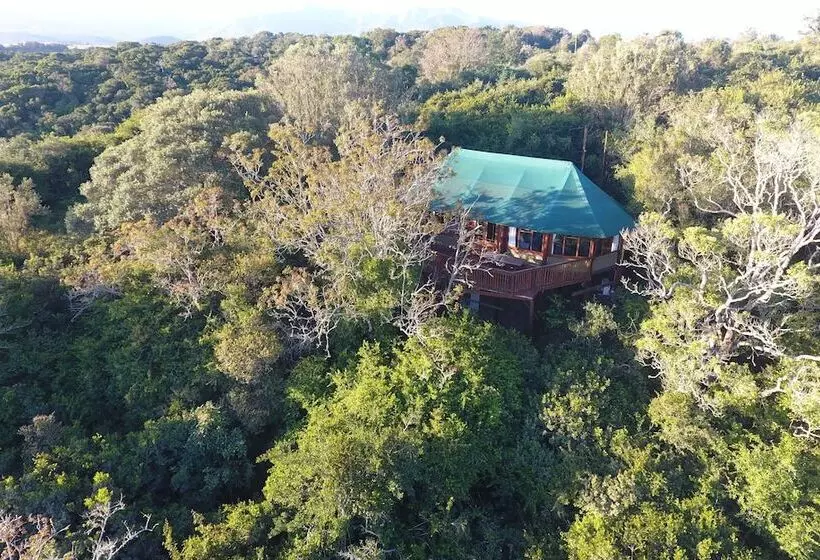Fotos del hotel Teniqua Treetops:  8