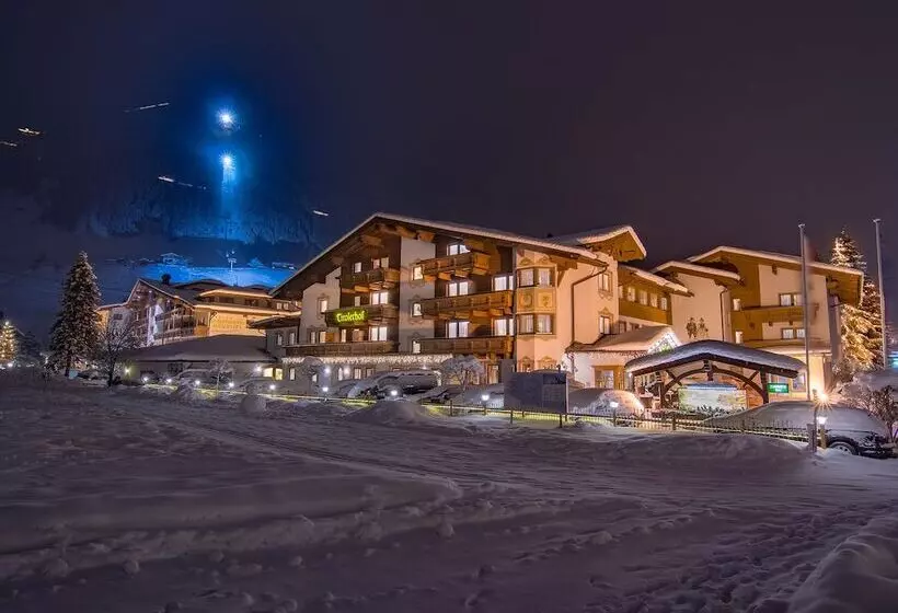 Fotos del hotel Alpenhotel Tirolerhof:  2