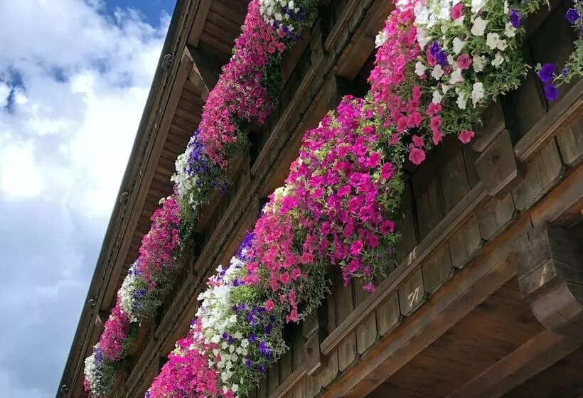 Fotos del hotel Alpenhotel Tirolerhof:  16