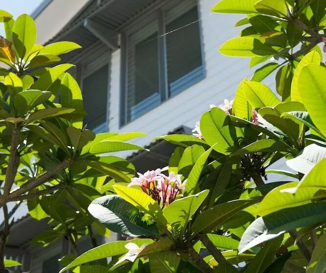 Fotos del hotel Heart  And Gallery Whitsundays:  25