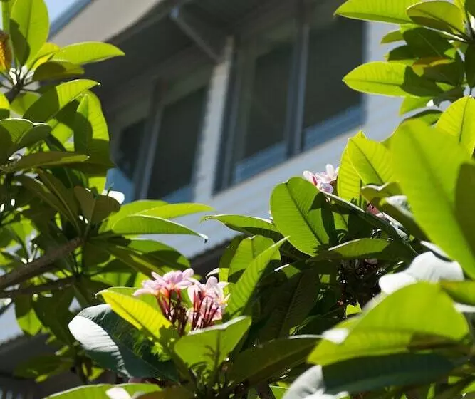 Fotos del hotel Heart  And Gallery Whitsundays:  12
