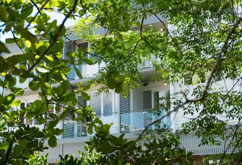 Fotos del hotel Heart  And Gallery Whitsundays:  6
