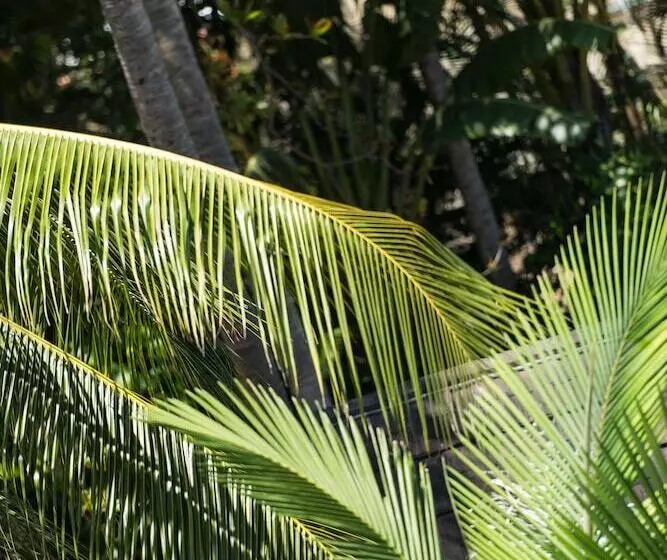 Fotos del hotel Heart  And Gallery Whitsundays:  14