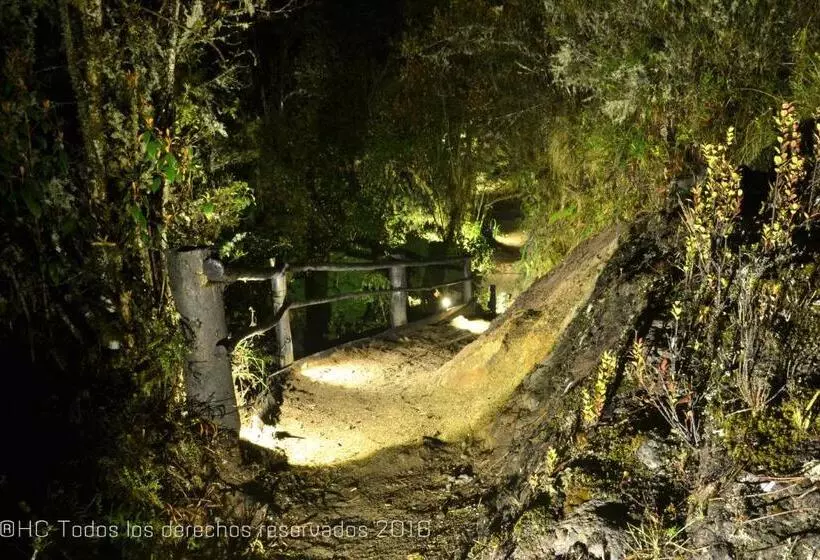 Fotos del hotel Termales Del Ruiz:  15