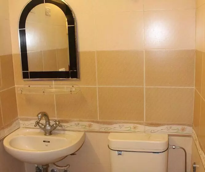 Fotos del hotel Muskan Palace:  13