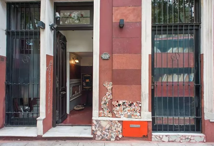 Fotos del hotel Apassionata Tango:  8