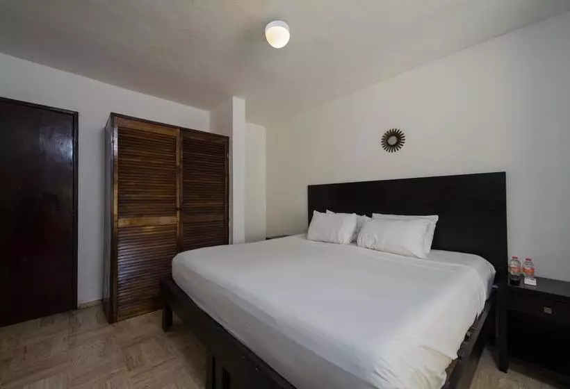 Fotos del hotel Caracol Suite:  17