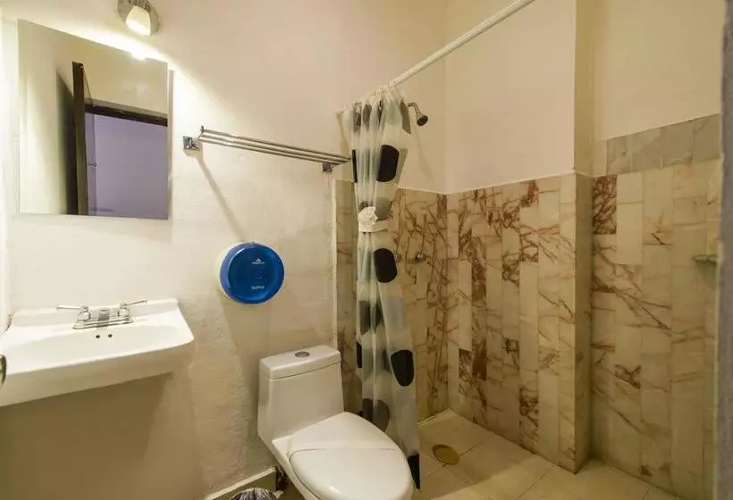 Fotos del hotel Caracol Suite:  6