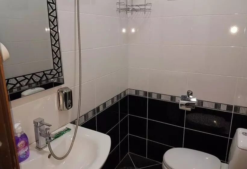 Fotos del hotel Aisi:  4