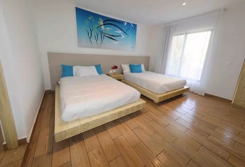 Fotos del hotel Cielo Hotel & Beach Club:  10