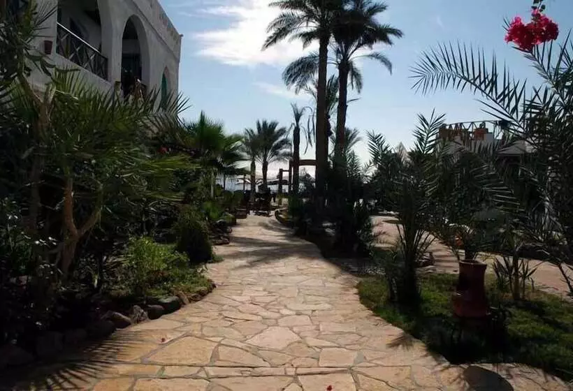 Planet Oasis Resort Dahab