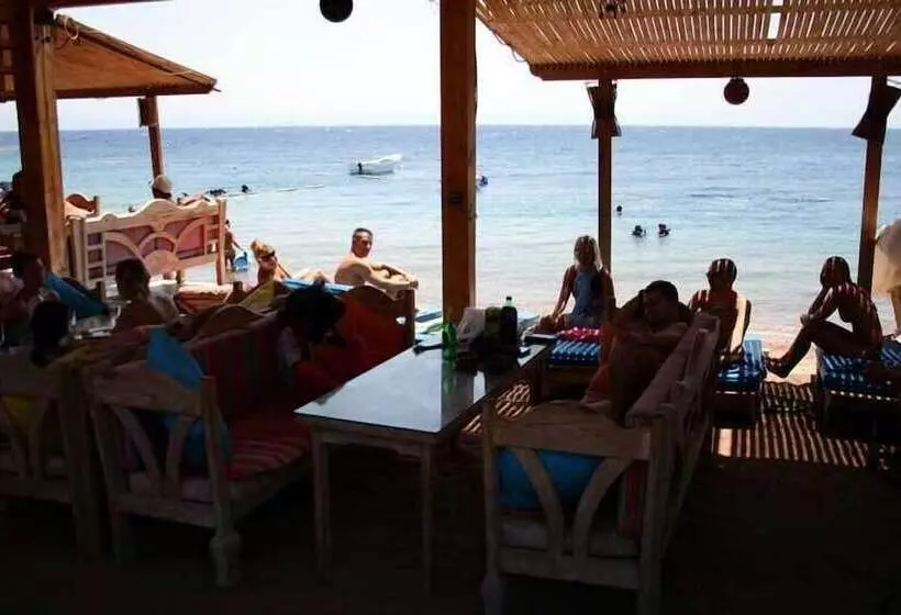 Fotos del hotel Planet Oasis Resort Dahab:  11
