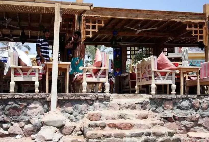 Fotos del hotel Planet Oasis Resort Dahab:  9