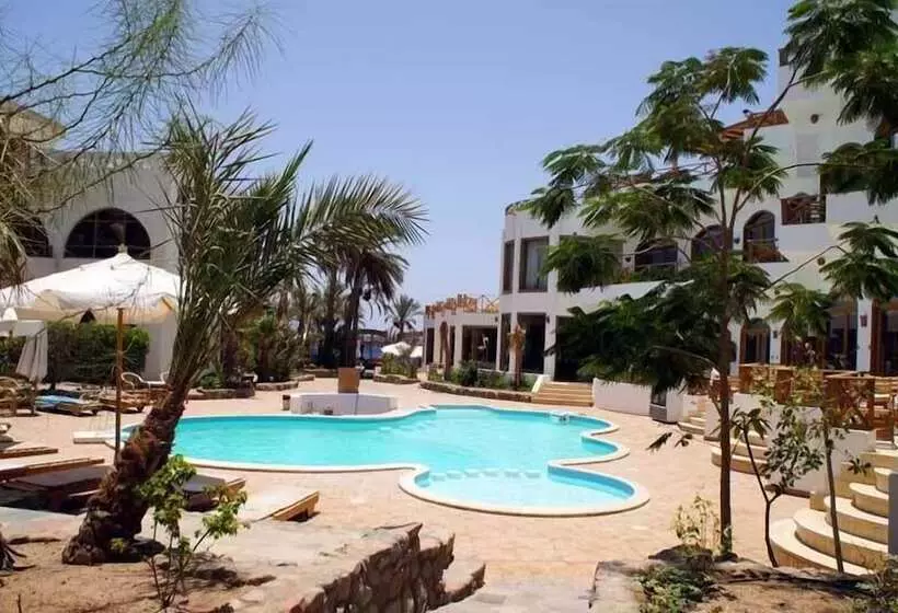 Fotos del hotel Planet Oasis Resort Dahab:  3