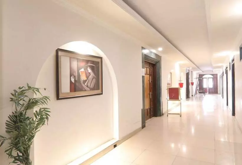 Fotos del hotel Mohan:  8