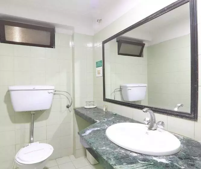 Fotos del hotel Mohan:  9